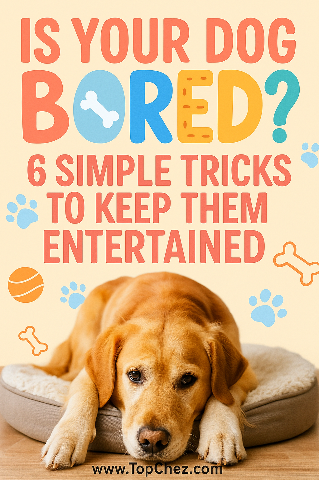 🐶 6 Simple Tricks : how to keep a Bored Dog Entertained how to keep a Bored Dog Entertained