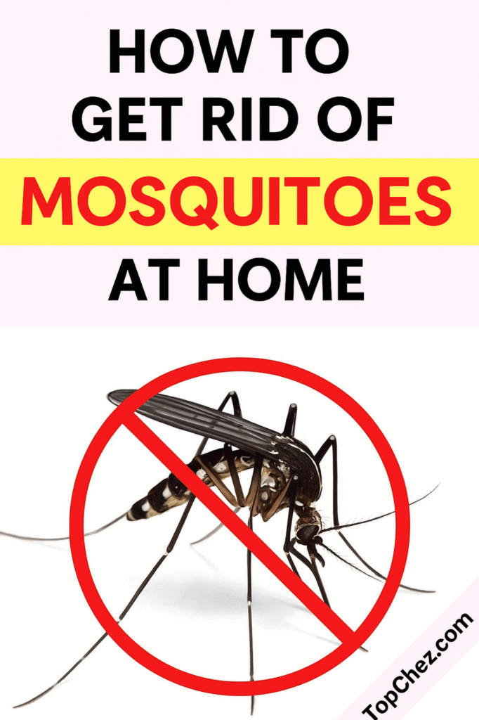 how to get rid of mosquitoes in the house