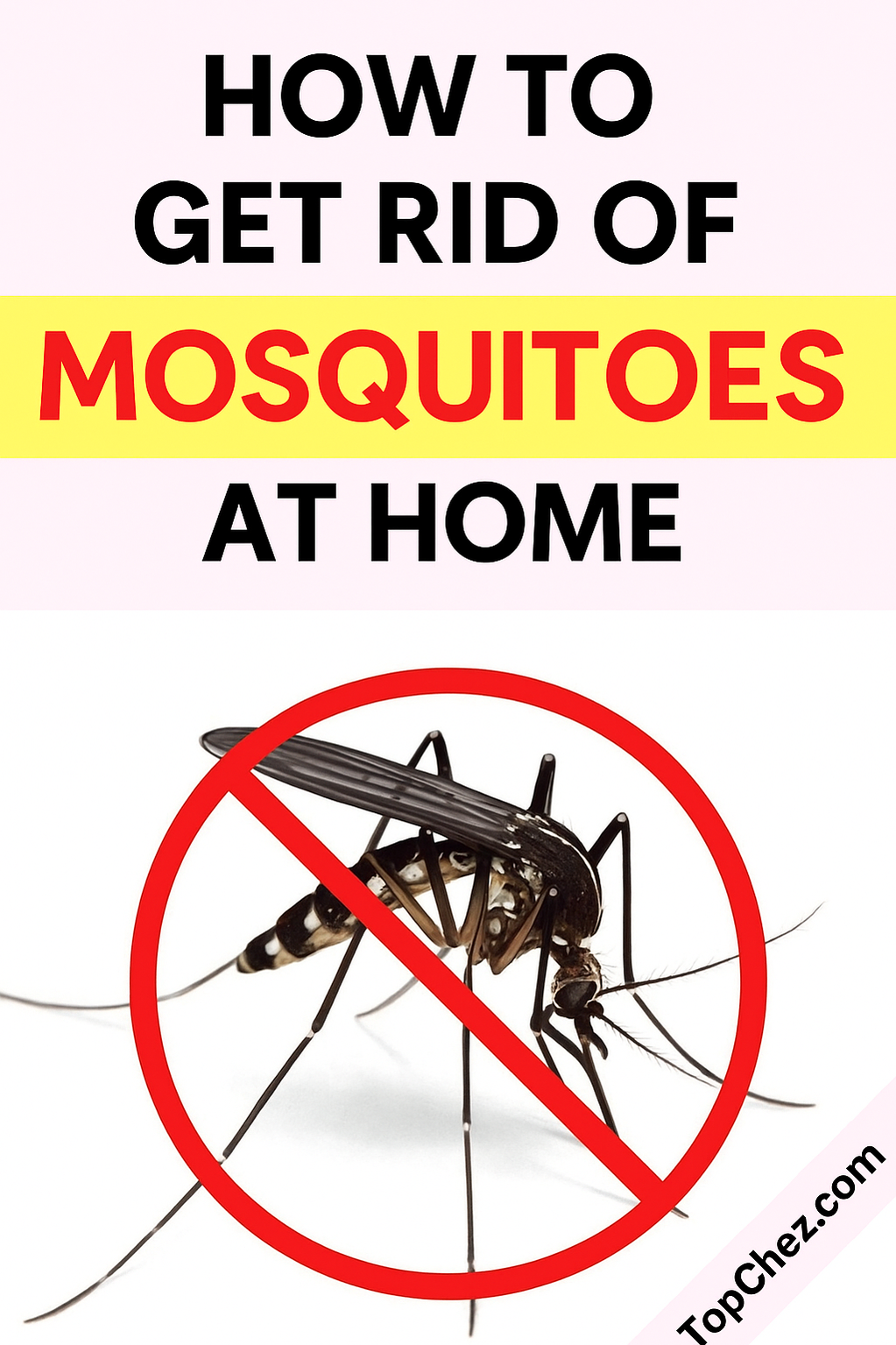how to get rid of mosquitoes in the house